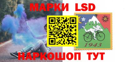 шишки Можга