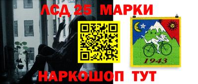 шишки Можга