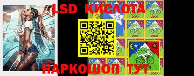 шишки Можга