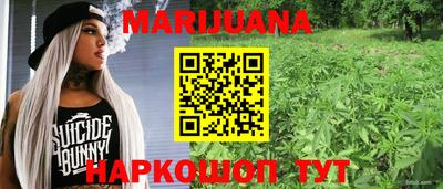 сатива Моздок
