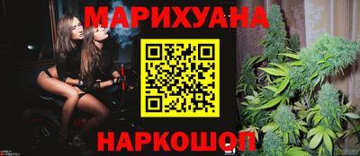 шишки Можга