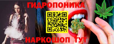 шишки Можга