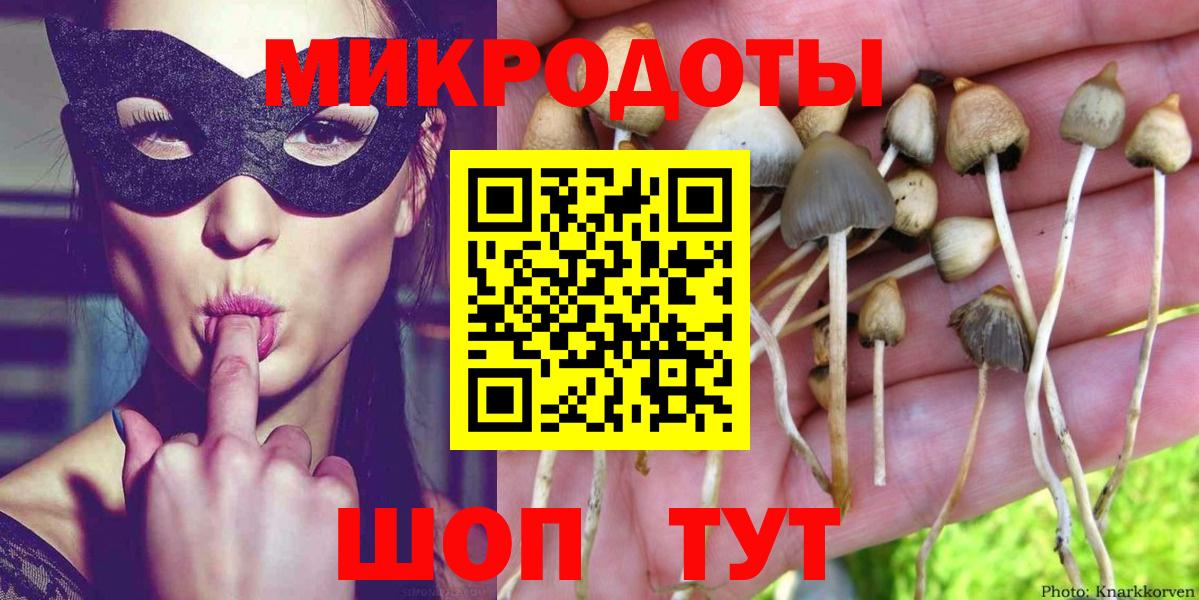 Псилоцибиновые грибы MAGIC MUSHROOMS Чайковский